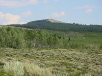 Trail in the Medicine Bow